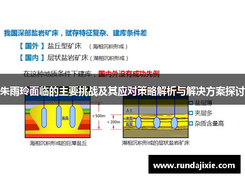 朱雨玲面临的主要挑战及其应对策略解析与解决方案探讨