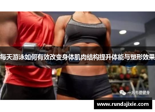 每天游泳如何有效改变身体肌肉结构提升体能与塑形效果